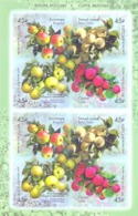 2019. Russia, Flora Of Russia, Apples Varieties, Sheetlet,  Mint/** - Nuovi