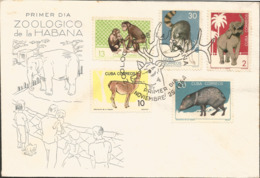 V) 1964 CARIBBEAN, HAVANA ZOO, ELEPHANT, CHIMPANZEES, PECCARY, WITH SLOGAN CANCELATION IN BLACK, FDC - Storia Postale