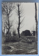 C. P. A. : 85 SOULLANS: Photographie D'une Barque Et Des Arbres En Hiver, Timbre En 1964, Signée JACQUES - Soullans