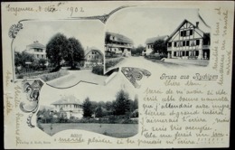 Gruss Aus RICHIGEN (Worb) Gel. 1902 Ambulant N. Genève - Worb