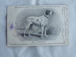 Chien Chiens Chiot Race Pointer Roxane De Croutelle Stamp 1908   A 203 - Dogs