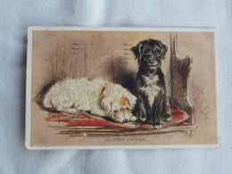 Country Cousins  Dog 1938   A 204 - Chiens