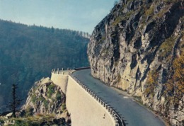 Cp , 68 , MUNSTER , Route De Munster Au Col De La Schlucht - Munster