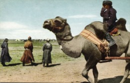 Mongolia China, Native Mongolian Camel Driver (1946) Postcard - Mongolie