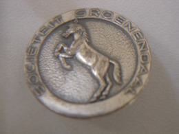 Epingle Pin Broche CHEVAL EQUITATION Societeit Groenendaal - Ruitersport