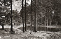 FISCHTEICH-GASTHAUS UND PENSIONHAUS H. VARLEMANN-NON VIAGGIATA  -REAL PHOTO - Warburg