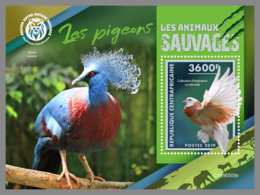 CENTRALAFRICA 2019 MNH Pigeons Tauben S/S - OFFICIAL ISSUE - DH1935 - Pigeons & Columbiformes