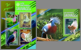 CENTRALAFRICA 2019 MNH Pigeons Tauben M/S+S/S - OFFICIAL ISSUE - DH1935 - Pigeons & Columbiformes