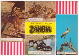 °°° 13967 - GREETINGS FROM ZAMBIA - 1970 °°° - Sambia