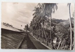 C. P. A. : GUINEE : CONAKRY : La Corniche - Guinée Française