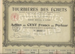 ACTION DE 100 FRS - TOURBIERES DES ECHETS  -01 - DIVISE EN 500 ACTIONS - ANNEE 1918 - Landwirtschaft