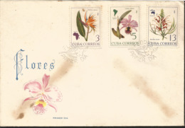 V) 1965 CARIBBEAN, FLOWERS AND MAPS OF THEIR LOCATIONS, STRELITZIA REGINAE, CATTLEYA LABIATA, GREVILLEA BANKSII, WITH SL - Lettres & Documents