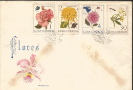 V) 1965 CARIBBEAN, FLOWERS AND MAPS OF THEIR LOCATIONS, ROSA CANINA, CHRYSANTHEMUM HORTORUM, BRUNFELSIA NITIDA, WITH SLO - Cartas & Documentos