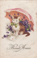 CPA 1924- Bonne Année - Chat Ombelle - Fleurs   (lot Pat 80) - Gatti