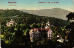 CPA AK Baden-Baden- Sanatorium Dr. A. Frey GERMANY (889023) - Baden-Baden