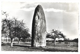 MENHIR - La Pierre Du Champ Dolent - DOL DE BRETAGNE - Dolmen & Menhirs