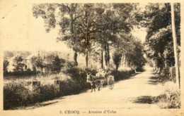 23 - Crocq - Avenue D'Urbe - Crocq