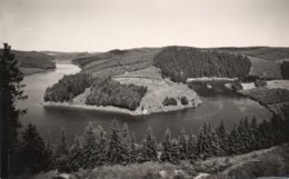 AM STAUSEE DER BLEILOCH-SAALETALSPERRE-SAALEBLICK BEI LEMNITZHAMMER-NON VIAGGIATA-REAL PHOTO - Lobenstein