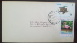 O) 1994 CUBA - CARIBBEAN, AMERICA UPAEP - ENDANGERED SPECIES - PHOENICOP BIRD SC 3527, WWF ENDANGERED SPECIE -SITTING ON - Storia Postale