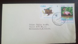 O) 1994 CUBA - CARIBBEAN, AMERICA UPAEP - ENDANGERED SPECIES - PHOENICOP BIRD SC 3527, WWF ENDANGERED SPECIE -SITTING ON - Lettres & Documents