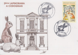 Carte  FRANCE   2éme  LAPINORAMA    CODOGNAN   1995 - Hasen