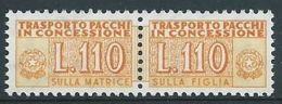 1955-81 ITALIA PACCHI IN CONCESSIONE STELLE 110 LIRE MNH ** - Colis-concession