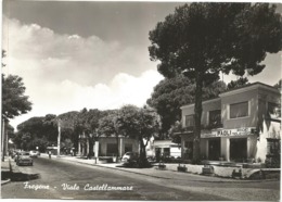 W4597/99 Fiumicino (Roma) - Fregene - Viale Castellammare - Auto Cars Voitures - Elettrodomestici Paoli / Non Viaggiata - Fiumicino
