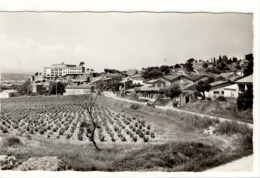 Carte Postale Rousset - Vue Générale - Rousset