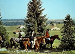 SAIGNELEGIER Pferde - Saignelégier