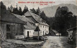 CPA AK Zwiesel Waldhaus Mit Dem Falkenstein GERMANY (892111) - Zwiesel