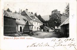 CPA AK Gruss A.d.Bayer.Wald, Waldhaus GERMANY (892112) - Zwiesel