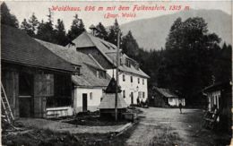 CPA AK Zwiesel Waldhaus Mit Dem Falkenstein GERMANY (892116) - Zwiesel