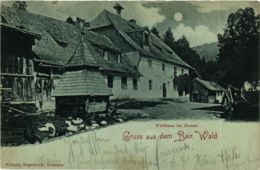 CPA AK Zwiesel Gruss Aus Dem Bair.Wald GERMANY (892123) - Zwiesel