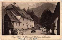 CPA AK Zwiesel Waldhaus Mit Blick Zum Falkenstein GERMANY (892124) - Zwiesel