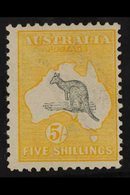 1913 5s Grey And Yellow, Wmk Broad Crown, Kangaroo, SG 13, Fine And Fresh Mint. For More Images, Please Visit Http://www - Other & Unclassified