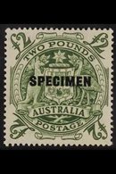 1948 £2 Green "Arms"  SG 224d, Ovptd "Specimen", Fine Never Hinged Mint. For More Images, Please Visit Http://www.sandaf - Autres & Non Classés