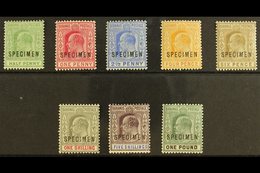 1902-06 Ed VII Set To £1 Plus 1906 ½d Green, Overprinted "Specimen", SG 62s-70s, 71s, Very Fine And Fresh Mint. (8 Stamp - Autres & Non Classés