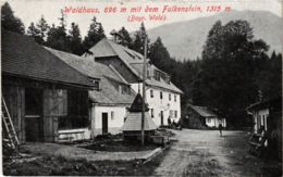 CPA AK Zwiesel Waldhaus Mit Dem Falkenstein GERMANY (892183) - Zwiesel