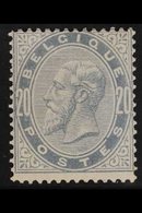 1883 20c Blue-grey King (COB 39, SG 64, Michel 36), Never Hinged Mint, Lightly Toned Gum, Centred To Top, Good Colour. F - Other & Unclassified