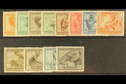 BELGIAN CONGO 1923 Pictorial Set, COB 106/117, Fine Never Hinged Mint. (12 Stamps) For More Images, Please Visit Http:// - Other & Unclassified