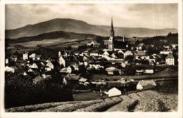 CPA AK Zwiesel Mit Dem Falkenstein GERMANY (892192) - Zwiesel