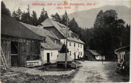 CPA AK Zwiesel Waldhaus Mit Dem Falkenstein GERMANY (892199) - Zwiesel