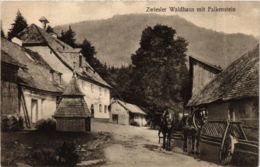 CPA AK Zwiesel Waldhaus Mit Falkenstein GERMANY (892213) - Zwiesel