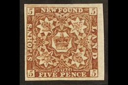 1862 5d Chocolate Brown, SG 19, Superb Mint Og With Large To Huge Margins All Round And Bright Colour. For More Images,  - Sonstige & Ohne Zuordnung