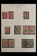 BYPOSTS LOCAL STAMPS 1885-1887 INTERESTING COLLECTION Of AALBORG Issues, Nicely Written Up On Leaves With Mint & Used St - Andere & Zonder Classificatie