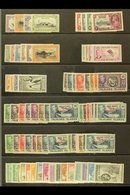 1933 - 64 Useful Mint Selection With Centenary Vals To 1s, 1935 Jubilee Set, 1938 Vals To £1, 1944 Deps Sets, 1954 Set N - Falklandinseln