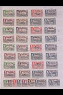 1944-49 EX-DEALERS MINT STOCK Presented On Stock Book Pages & Includes (complete Sets) 1944-45 Graham Land (x7 Sets), So - Falklandeilanden