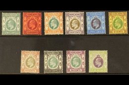 1904-06 MCA WMK FINE MINT GROUP An Attractive KEVII Definitive Selection On A Stock Card With All Values To $1, SG 77/86 - Other & Unclassified