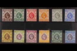 1912 - 21 Wmk Multiple Crown CA Complete Set Of Values To $1, SG 100/108 + 110/112, Very Fine And Fresh Mint, Cat £342 ( - Other & Unclassified