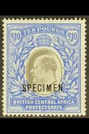 1903-04 £10 Grey And Blue Opt'd "SPECIMEN", SG 67s, Mint Part OG, Very Fresh And Attractive. For More Images, Please Vis - Nyasaland (1907-1953)